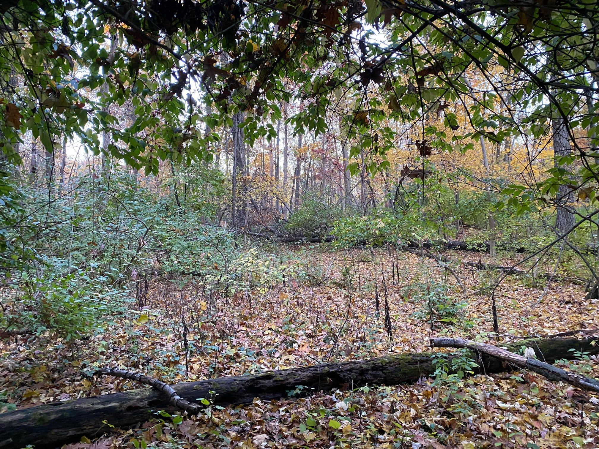 Three Rivers Mi 49093 Drive Three Rivers, MI 49093 - Photo 5 of 11 000048