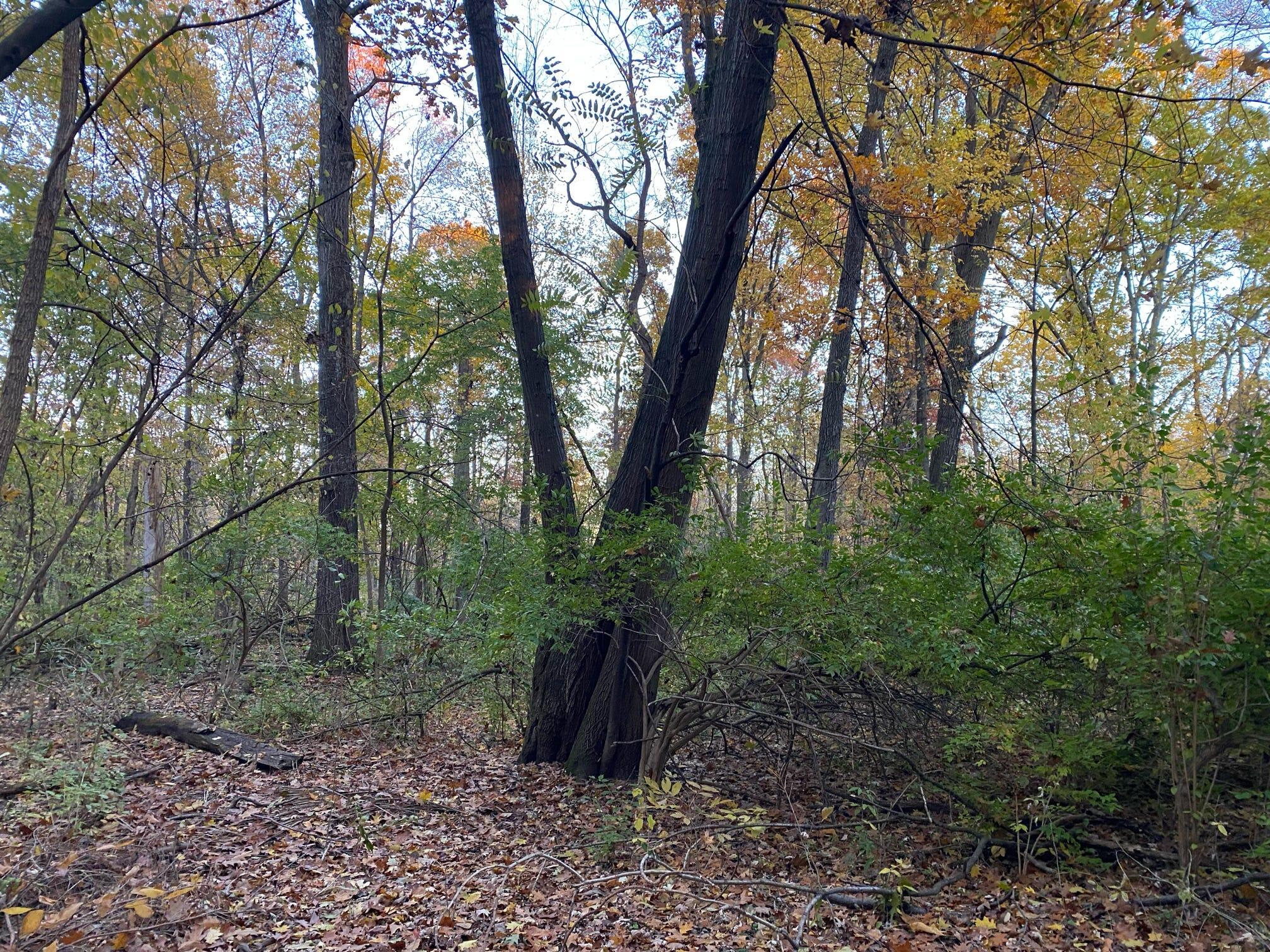 Three Rivers Mi 49093 Drive Three Rivers, MI 49093 - Photo 7 of 11 000046