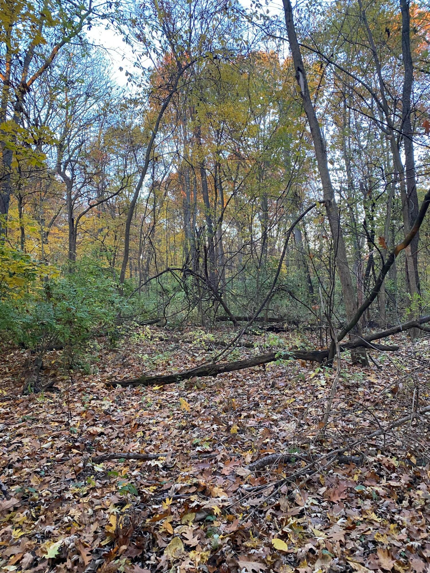 Three Rivers Mi 49093 Drive Three Rivers, MI 49093 - Photo 8 of 11 000045