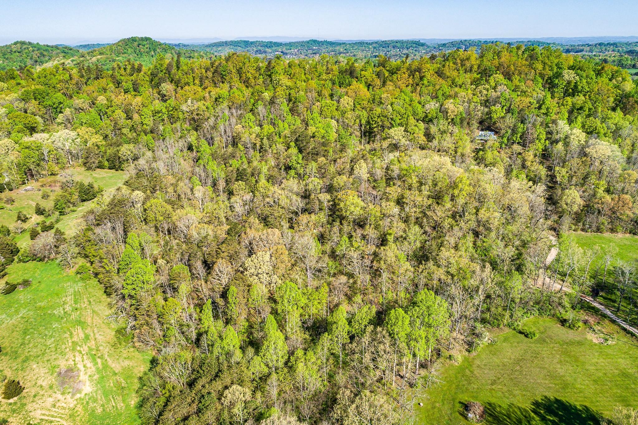 907 Knight Road Knoxville, TN 37920 - Photo 24 of 29 Gallery Image 24