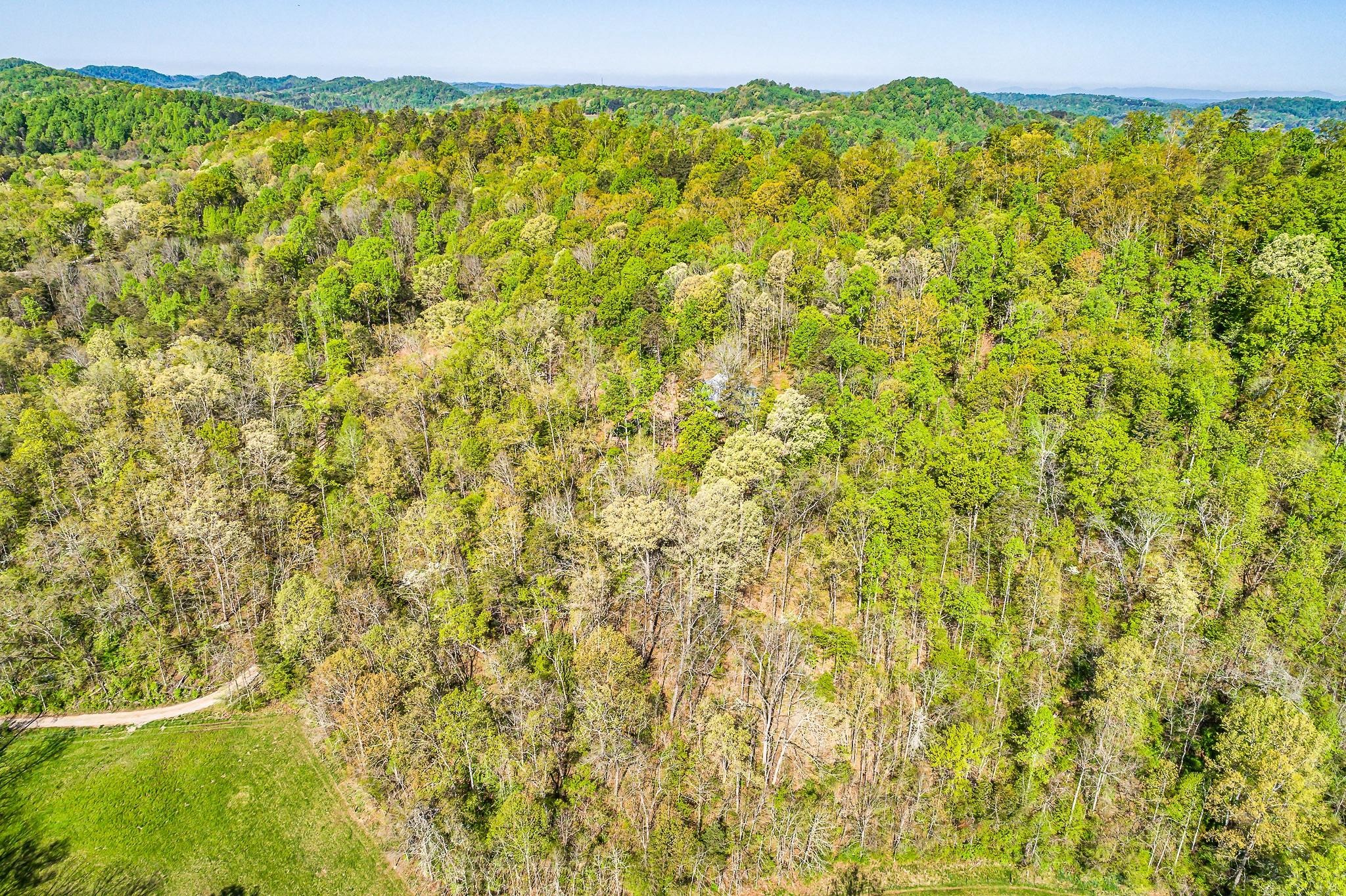 907 Knight Road Knoxville, TN 37920 - Photo 25 of 29 Gallery Image 25