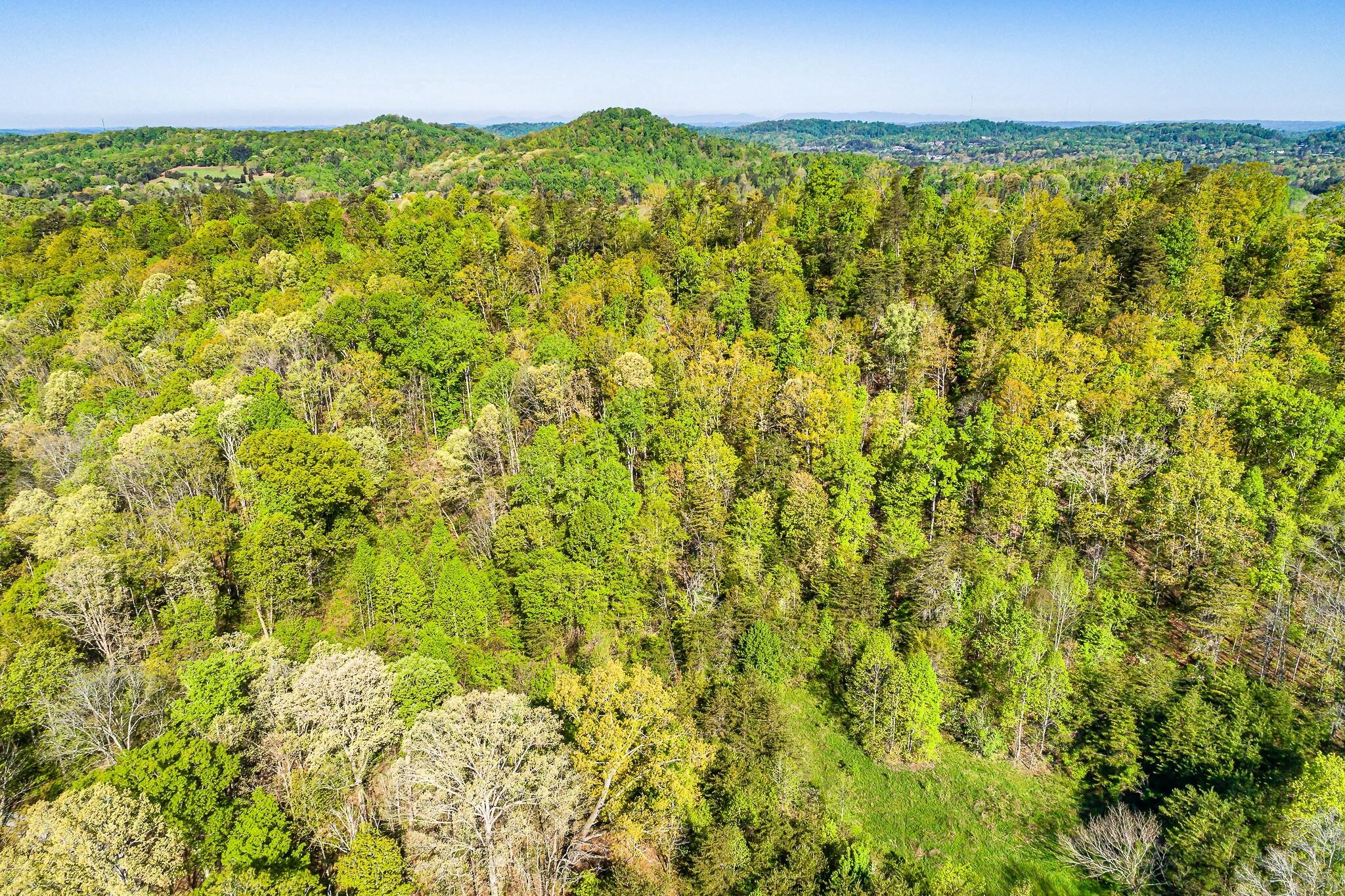 907 Knight Road Knoxville, TN 37920 - Photo 27 of 29 Gallery Image 27
