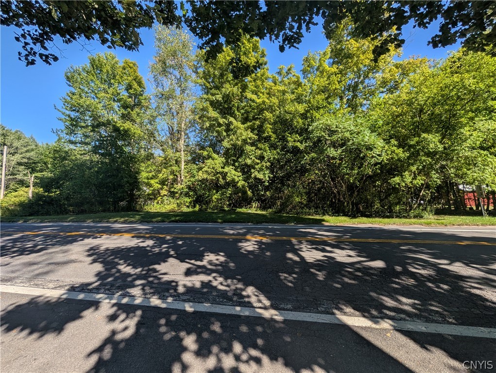 13 East Nys Route Blossvale, NY 13308 - Photo 3 of 13 Gallery Image 3