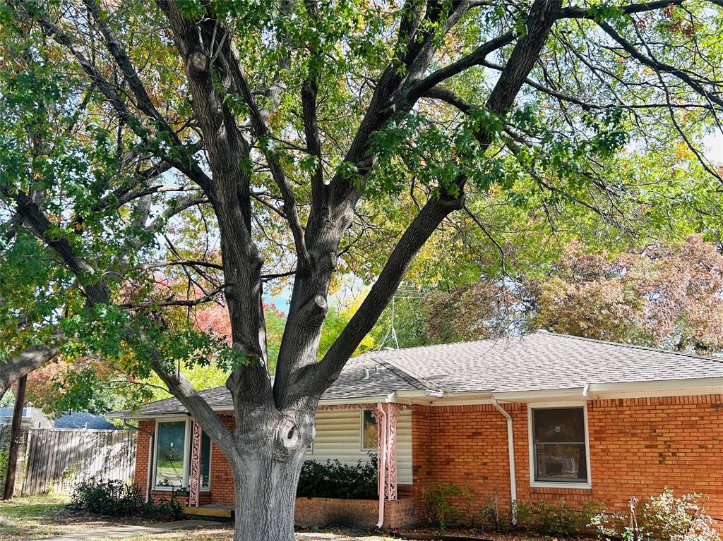 a front view of a house with a tree
