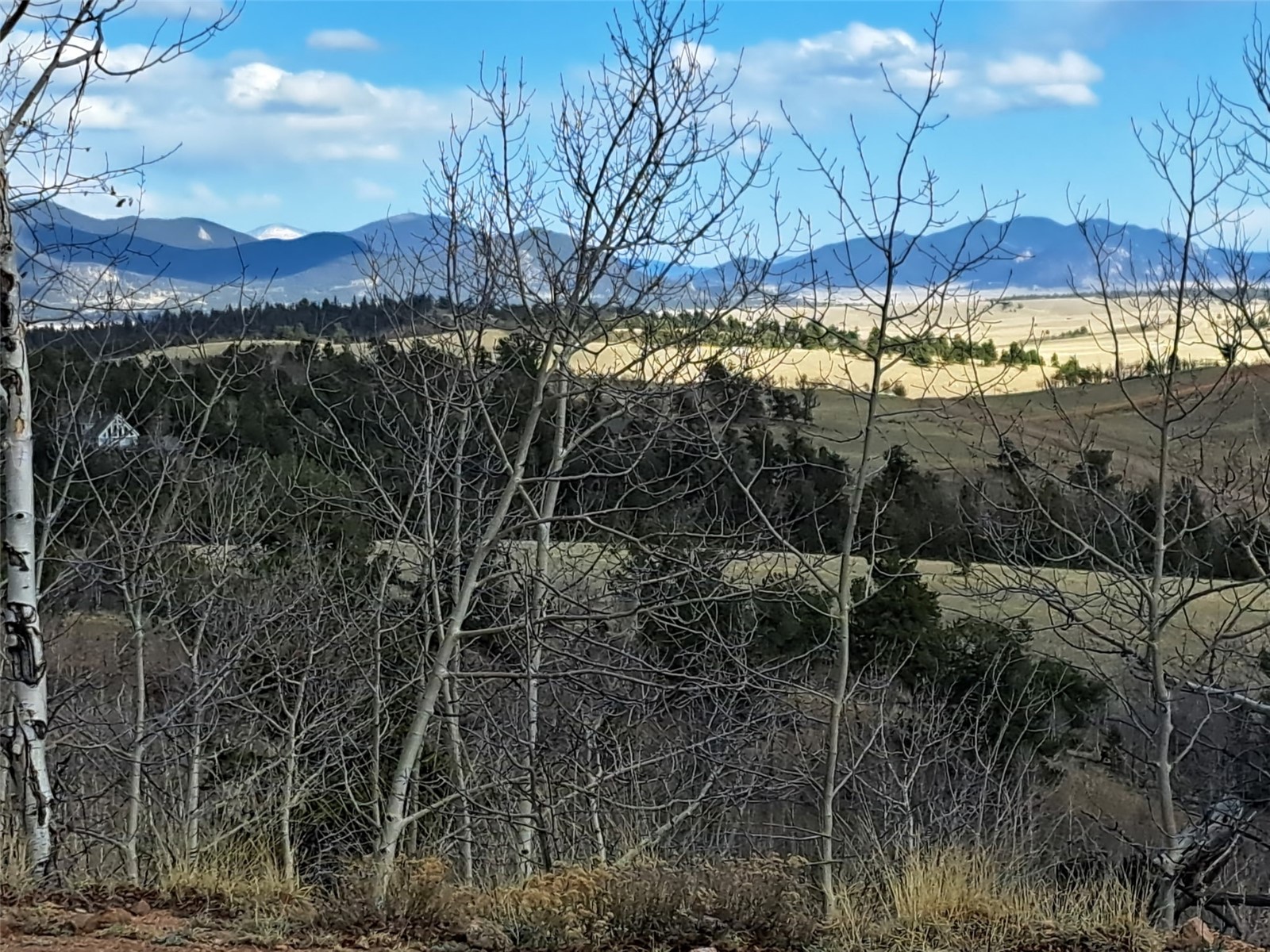 908 Raven Way Como, CO 80432 - Photo 1 of 29