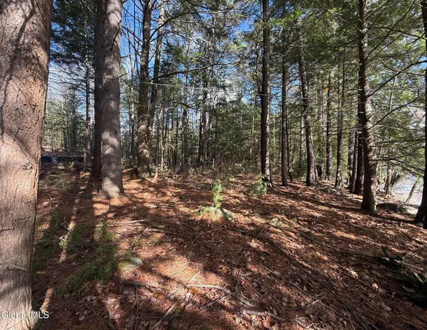 $595,000 | 12 Teds Way, Bolton, NY 12824