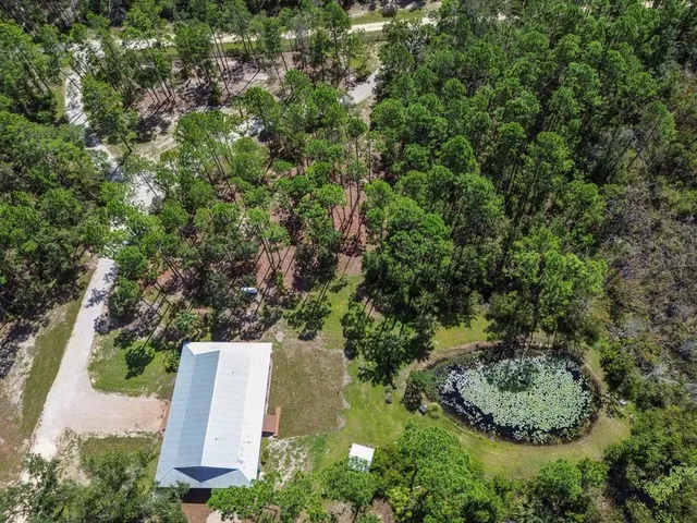 a view of a lush green forest with lawn chairs and large trees