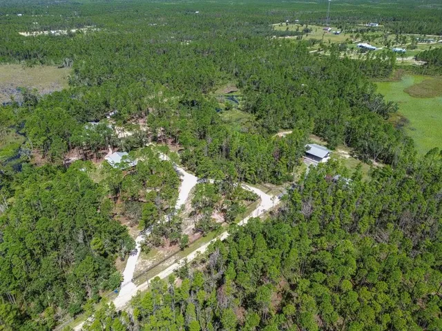 an aerial view of residential houses with outdoor space and trees