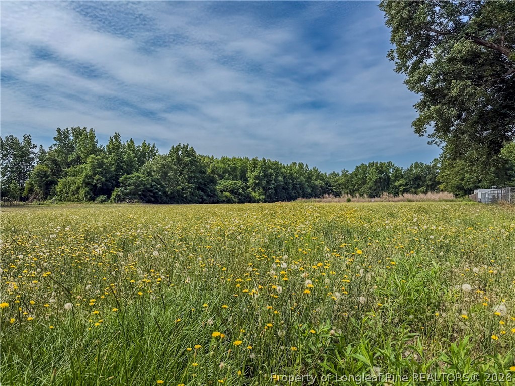 63 Newton Road Red Springs, NC 28377 - Photo 2 of 19