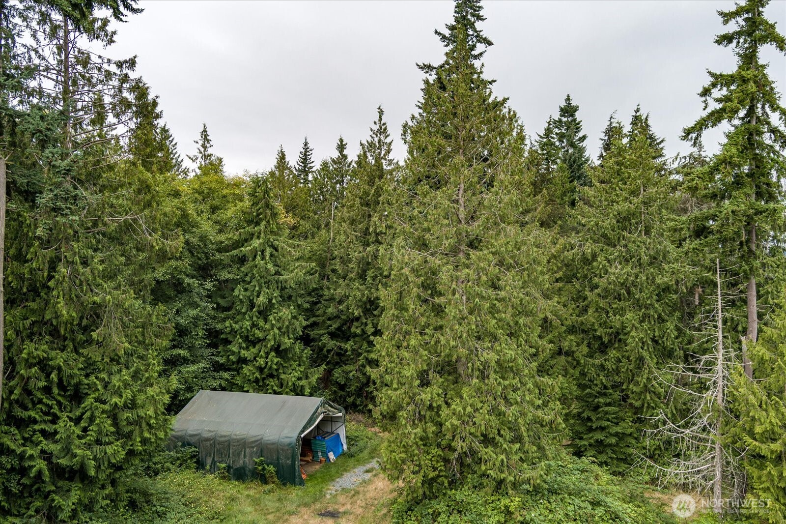 8175 Mossy Rock Road Clinton, WA 98236 - Photo 25 of 27 Gallery Image 25