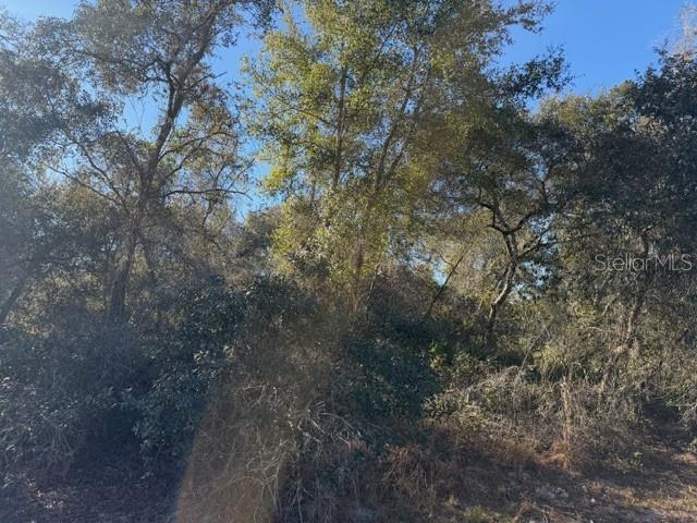 Tbd Southwest 158th St Road Ocala, FL 34473 - Photo 1 of 4