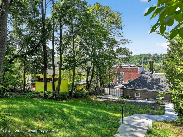 a view of a garden with plants and large trees