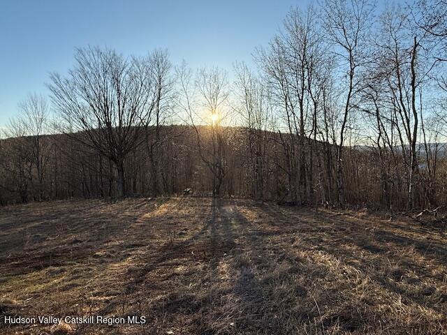 Tbd Hogg Mountain Road Fleischmanns, NY 12430 - Photo 18 of 22 #18