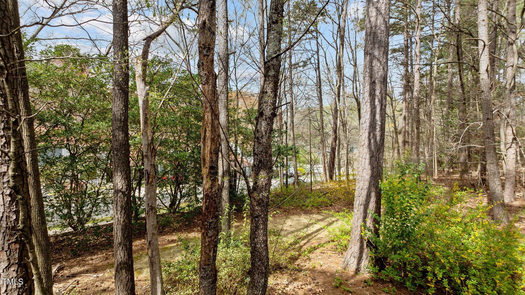 805 Green Ridge Drive Raleigh, NC 27609 - Photo 40 of 57 34-web-or-mls-DJI_0547