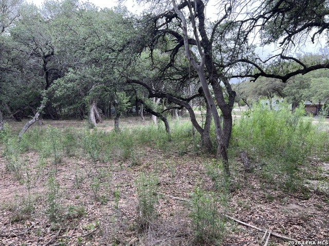 157 Hillside Road Bandera, TX 78003 - Photo 3 of 7