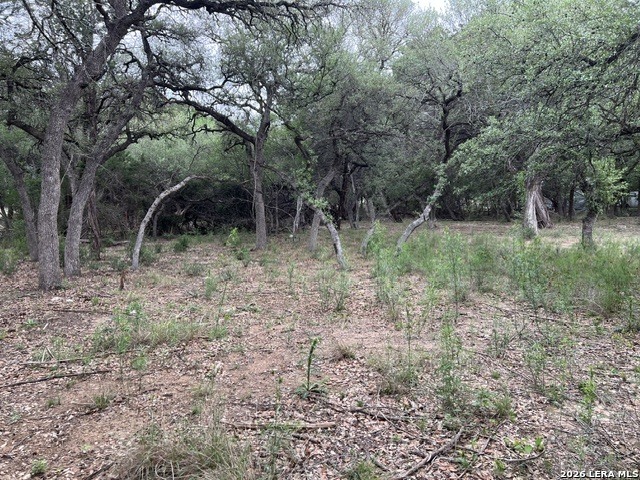 157 Hillside Road Bandera, TX 78003 - Photo 5 of 7