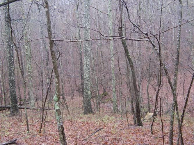 2800 East Fork Road Means, KY 40346 - Photo 18 of 22 Photo 18