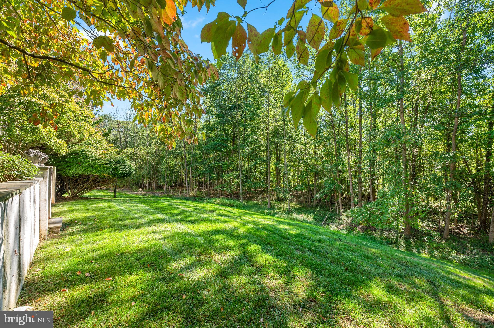 1236 Denbigh Lane Wayne, PA 19087 - Photo 36 of 36 a view of yard with green space