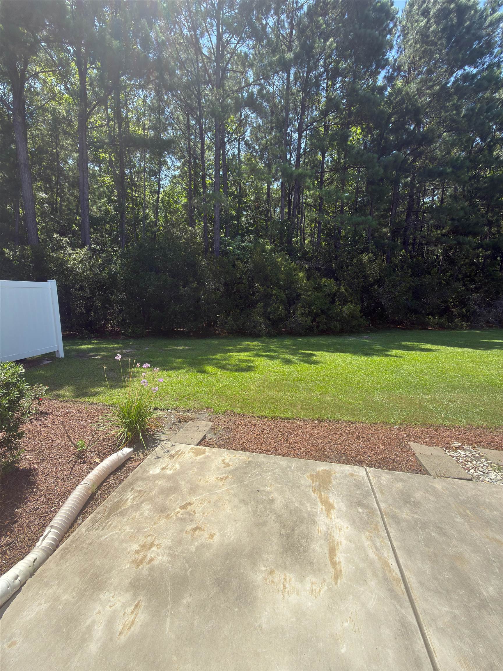 715 Botany Loop Murrells Inlet, SC 29576 - Photo 23 of 25