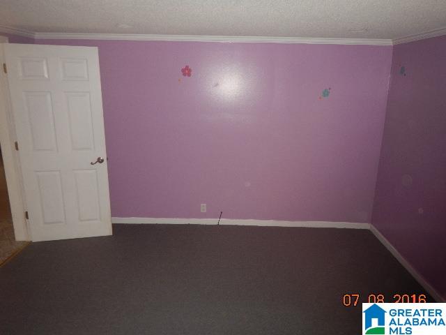 1538 Johnsey Bridge Road Jasper, AL 35503 - Photo 4 of 19