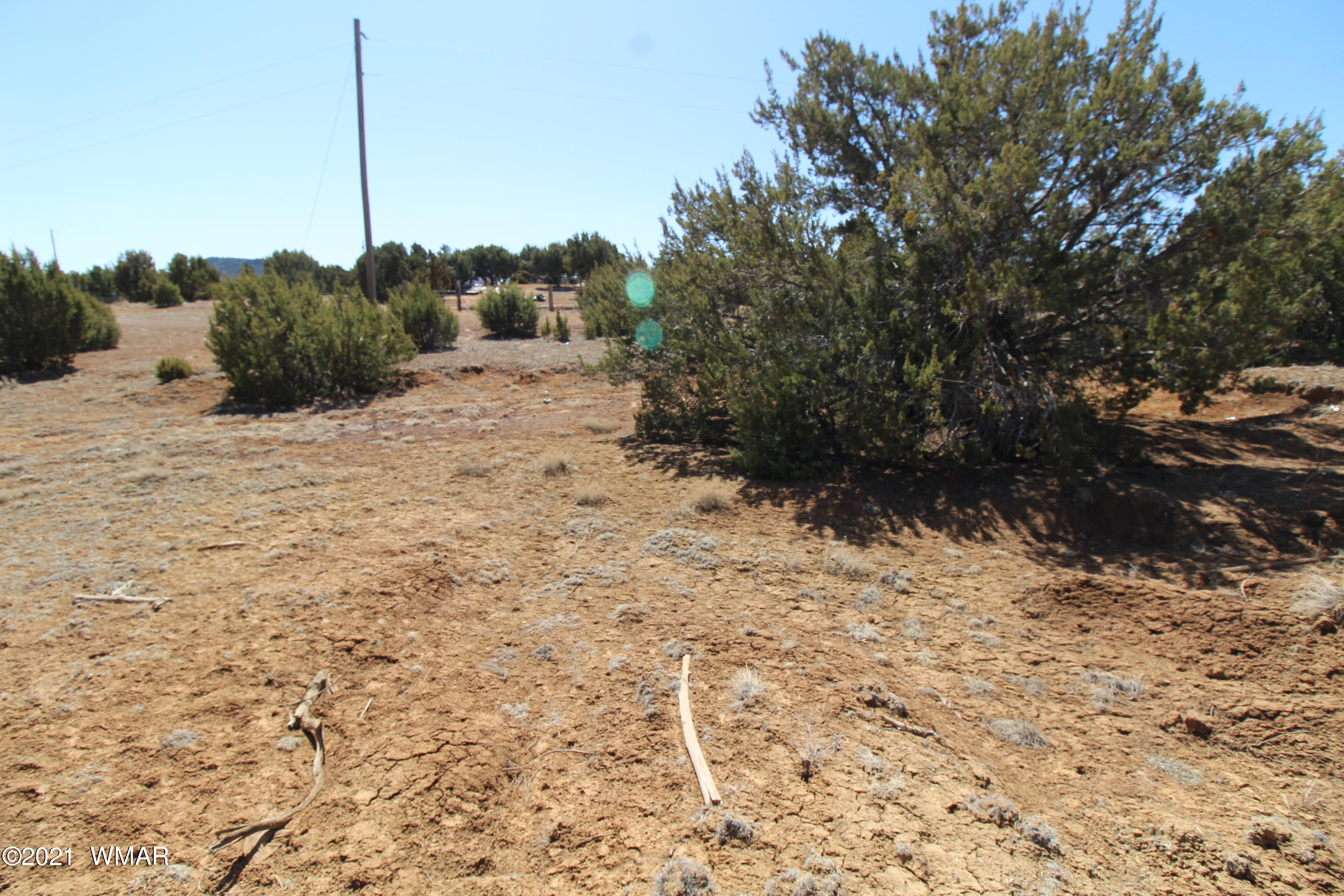45 Co Road Concho, AZ 85924 - Photo 11 of 65