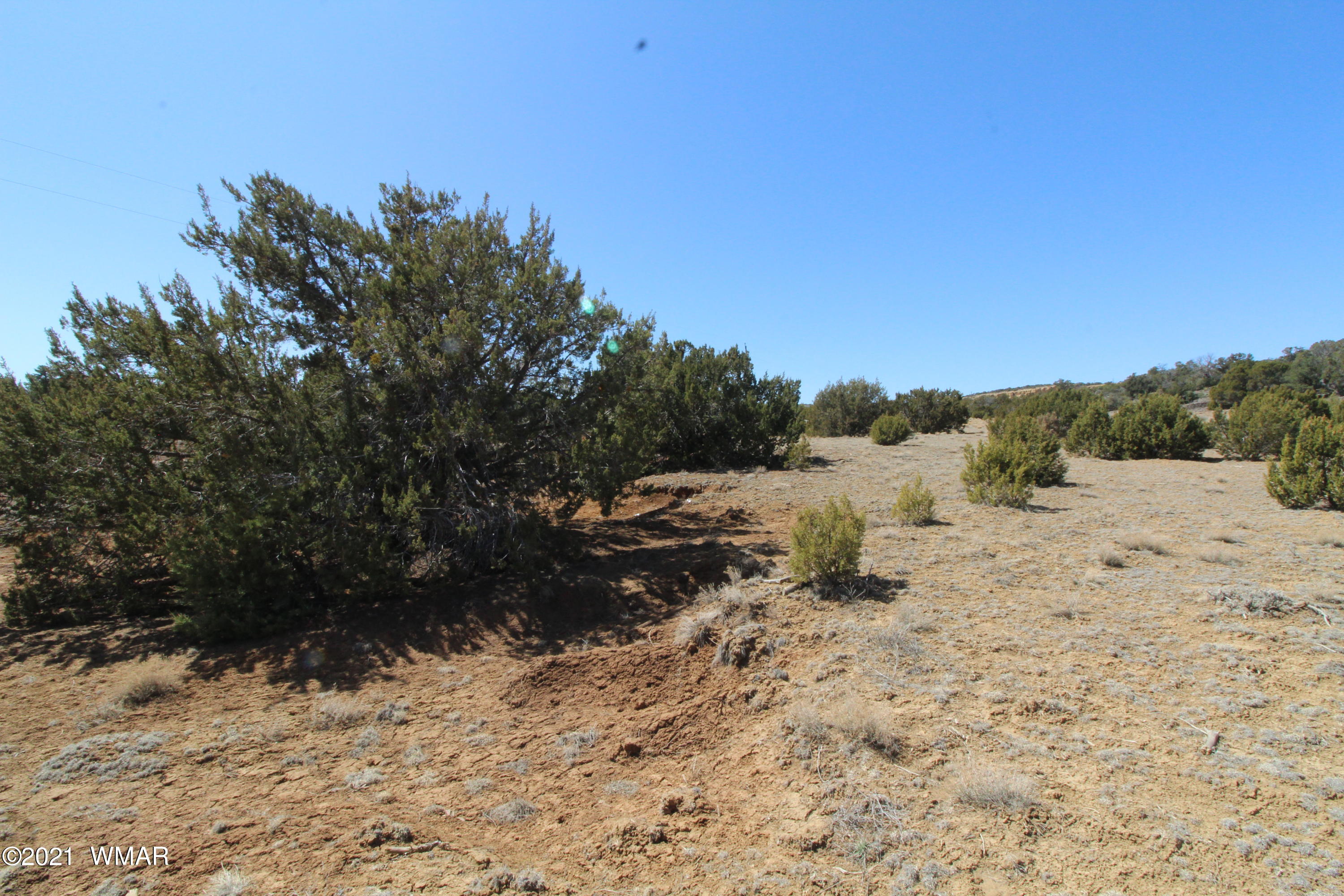 45 Co Road Concho, AZ 85924 - Photo 12 of 65