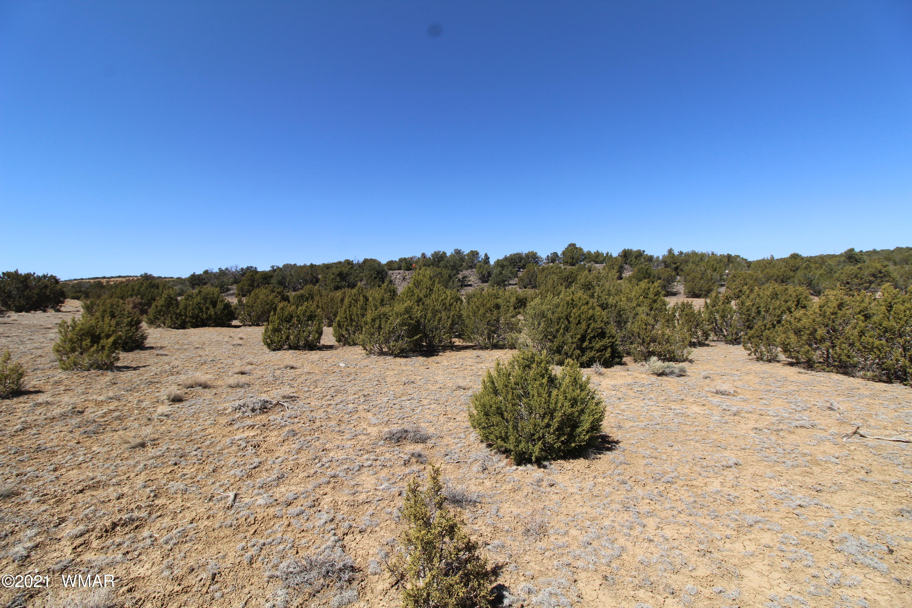 45 Co Road Concho, AZ 85924 - Photo 13 of 65
