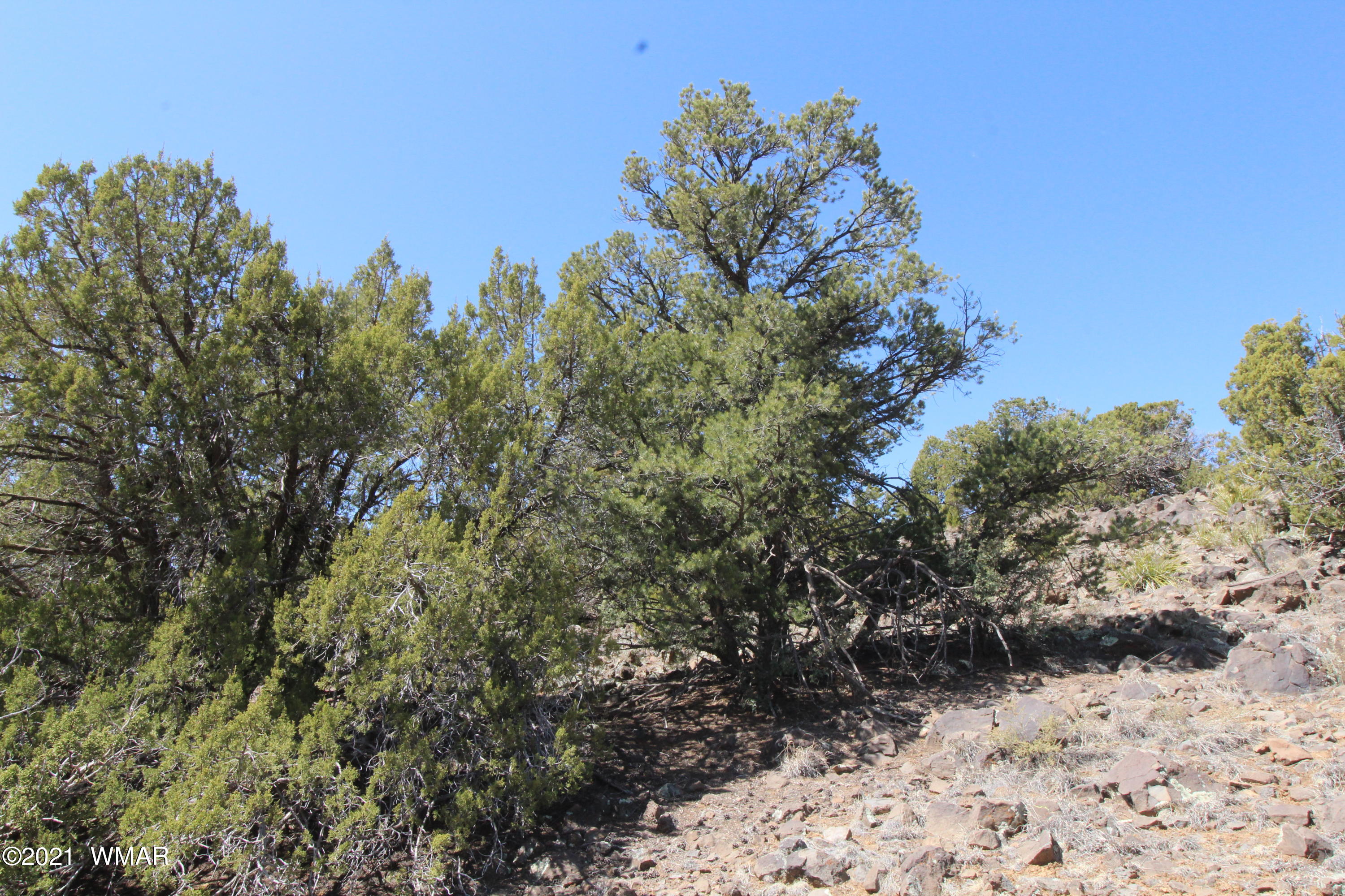 45 Co Road Concho, AZ 85924 - Photo 16 of 65