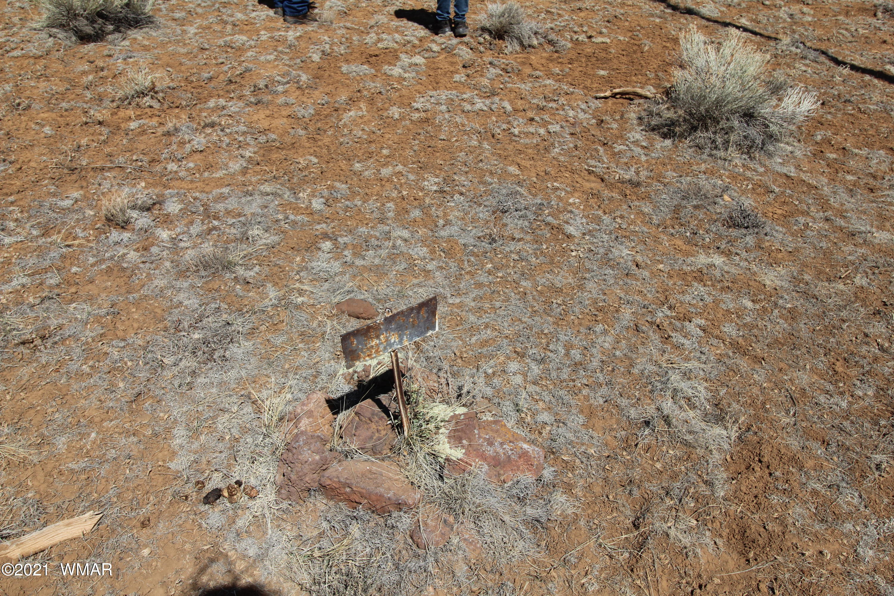 45 Co Road Concho, AZ 85924 - Photo 2 of 65