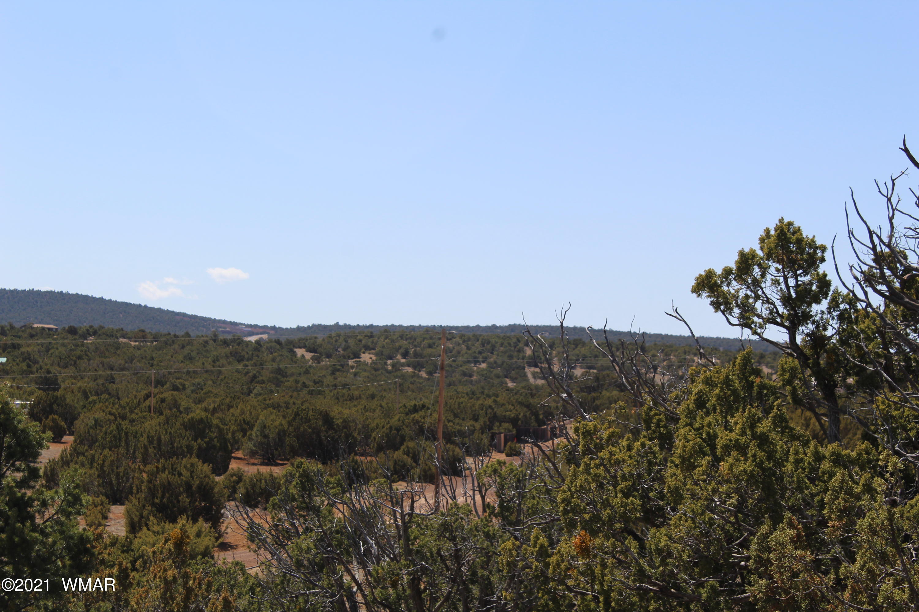 45 Co Road Concho, AZ 85924 - Photo 33 of 65