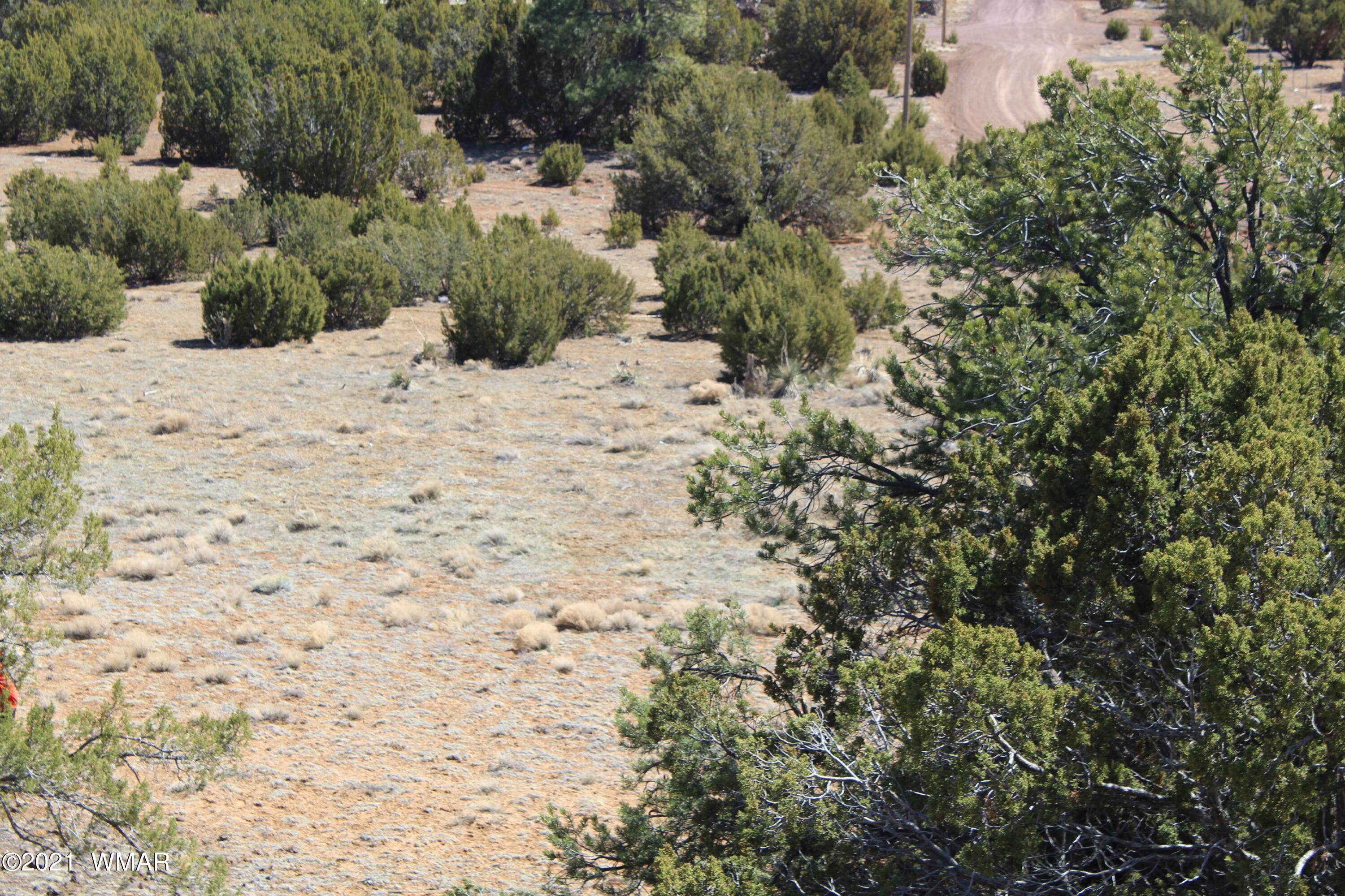 45 Co Road Concho, AZ 85924 - Photo 40 of 65