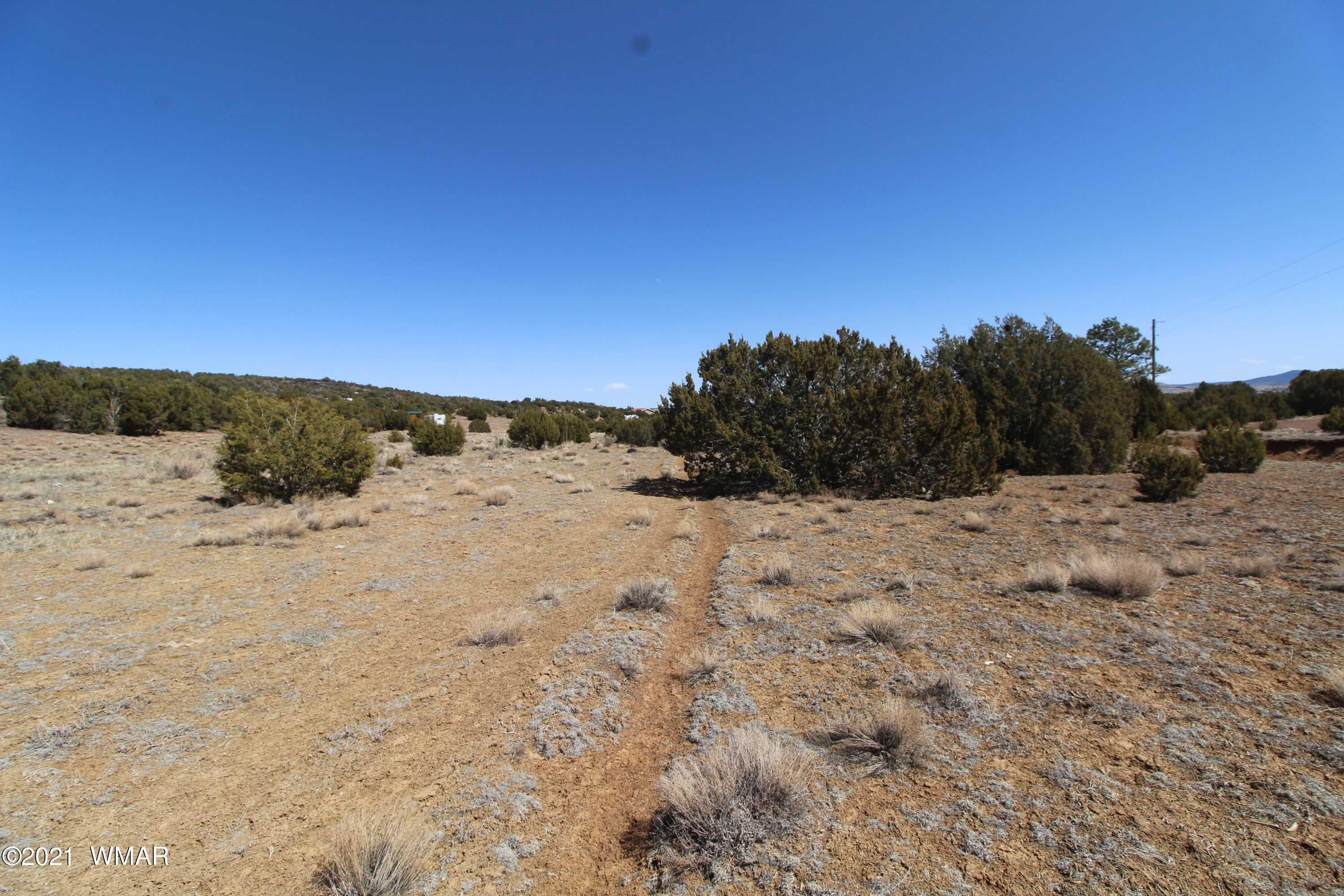 45 Co Road Concho, AZ 85924 - Photo 4 of 65