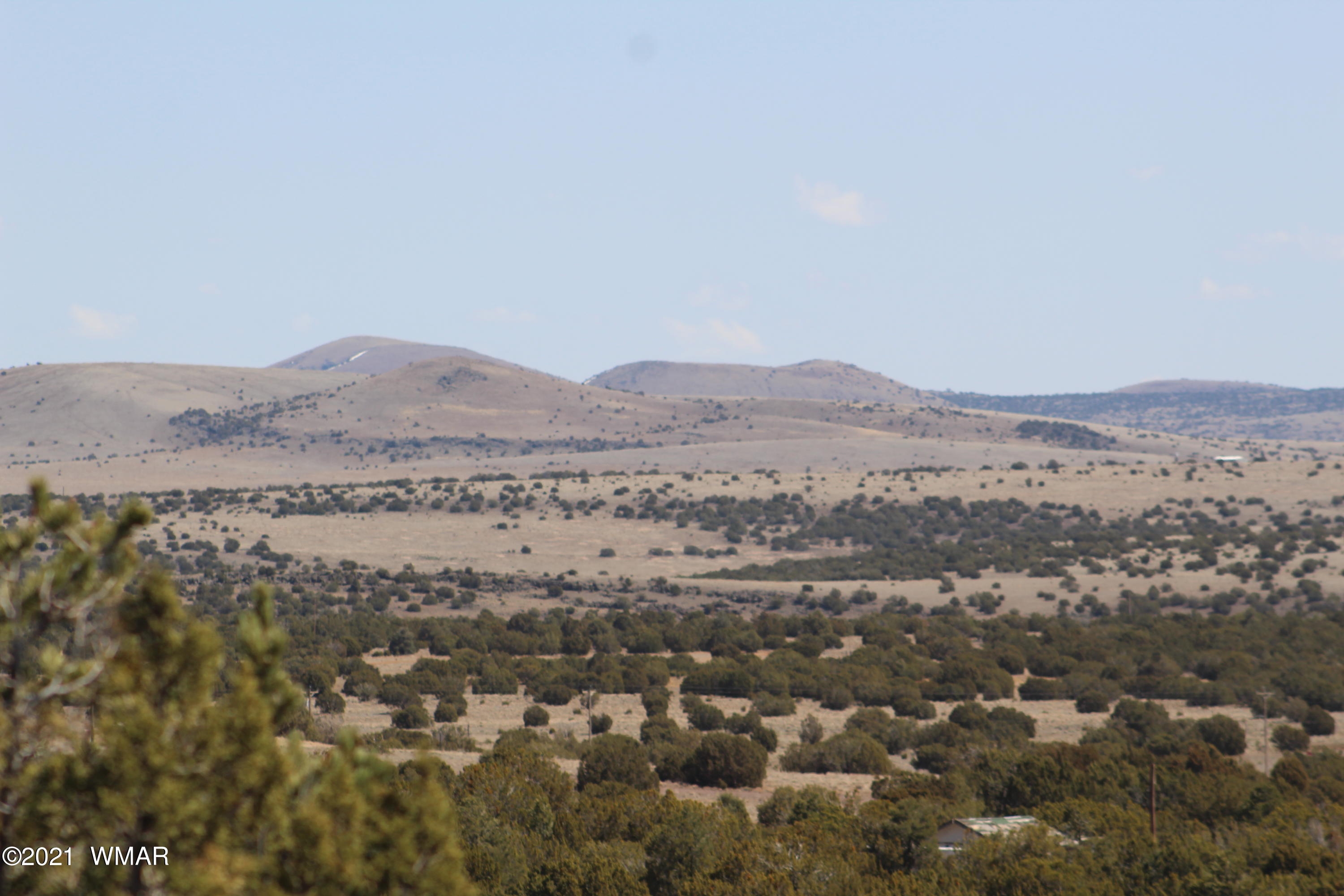 45 Co Road Concho, AZ 85924 - Photo 48 of 65