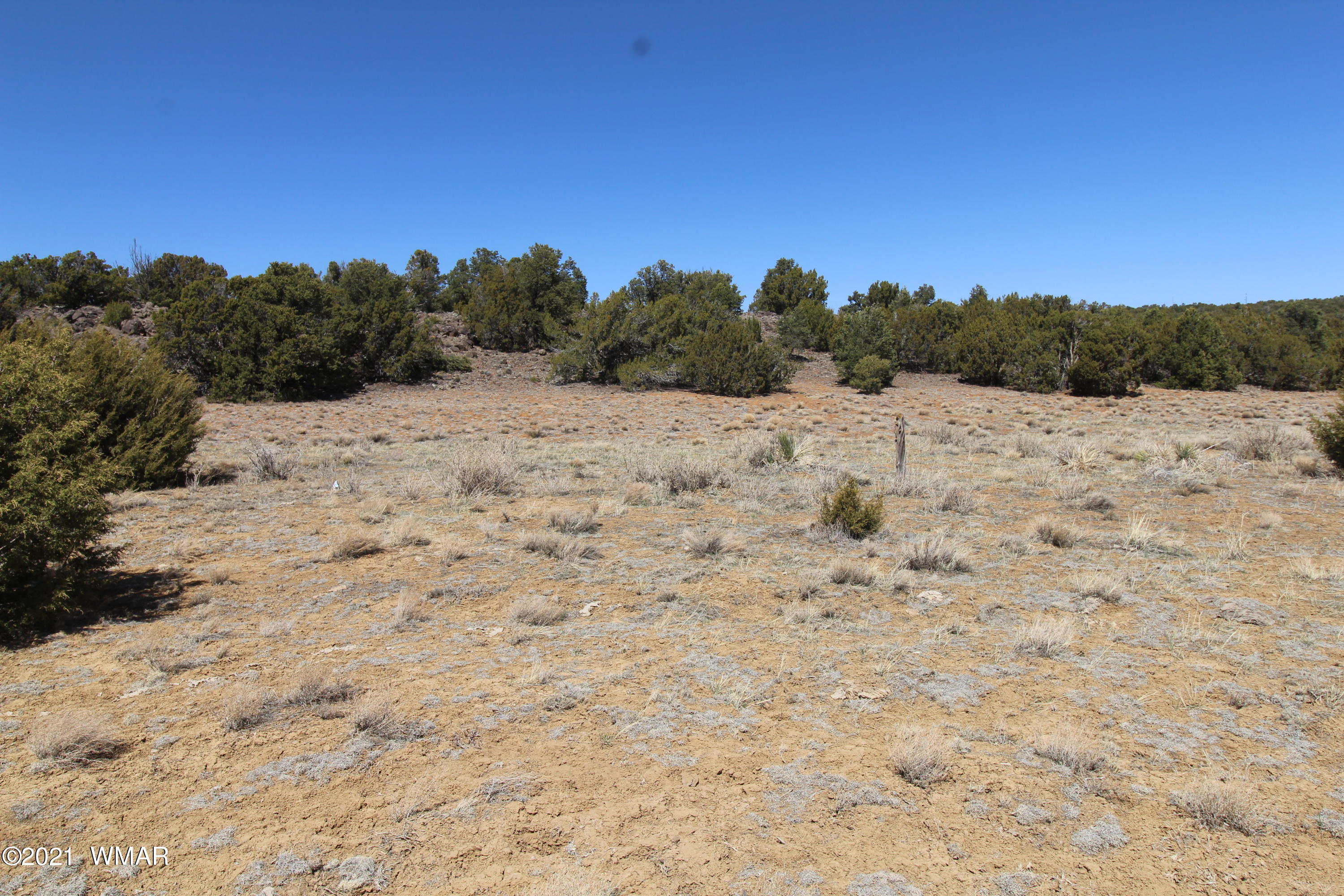 45 Co Road Concho, AZ 85924 - Photo 5 of 65