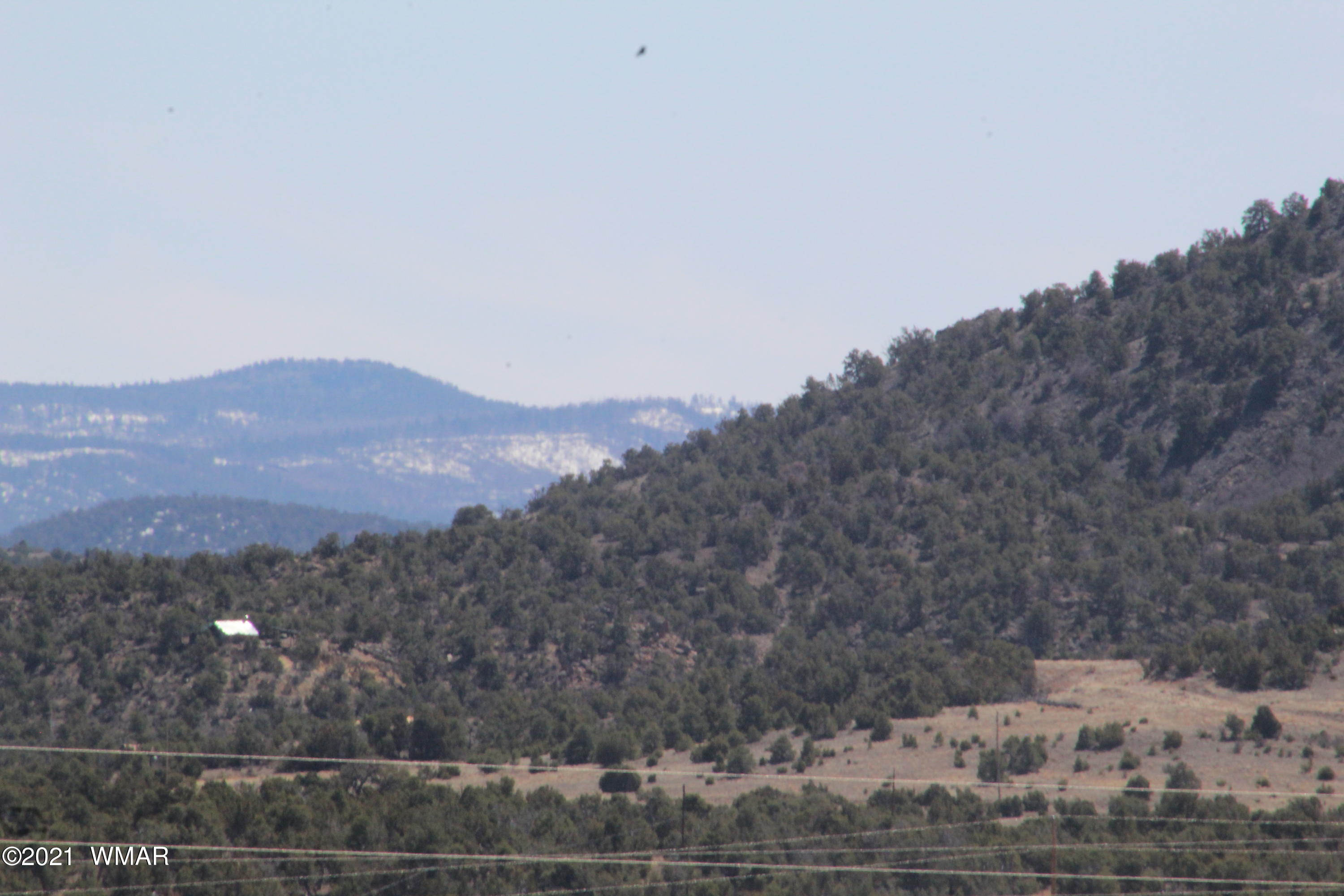 45 Co Road Concho, AZ 85924 - Photo 54 of 65
