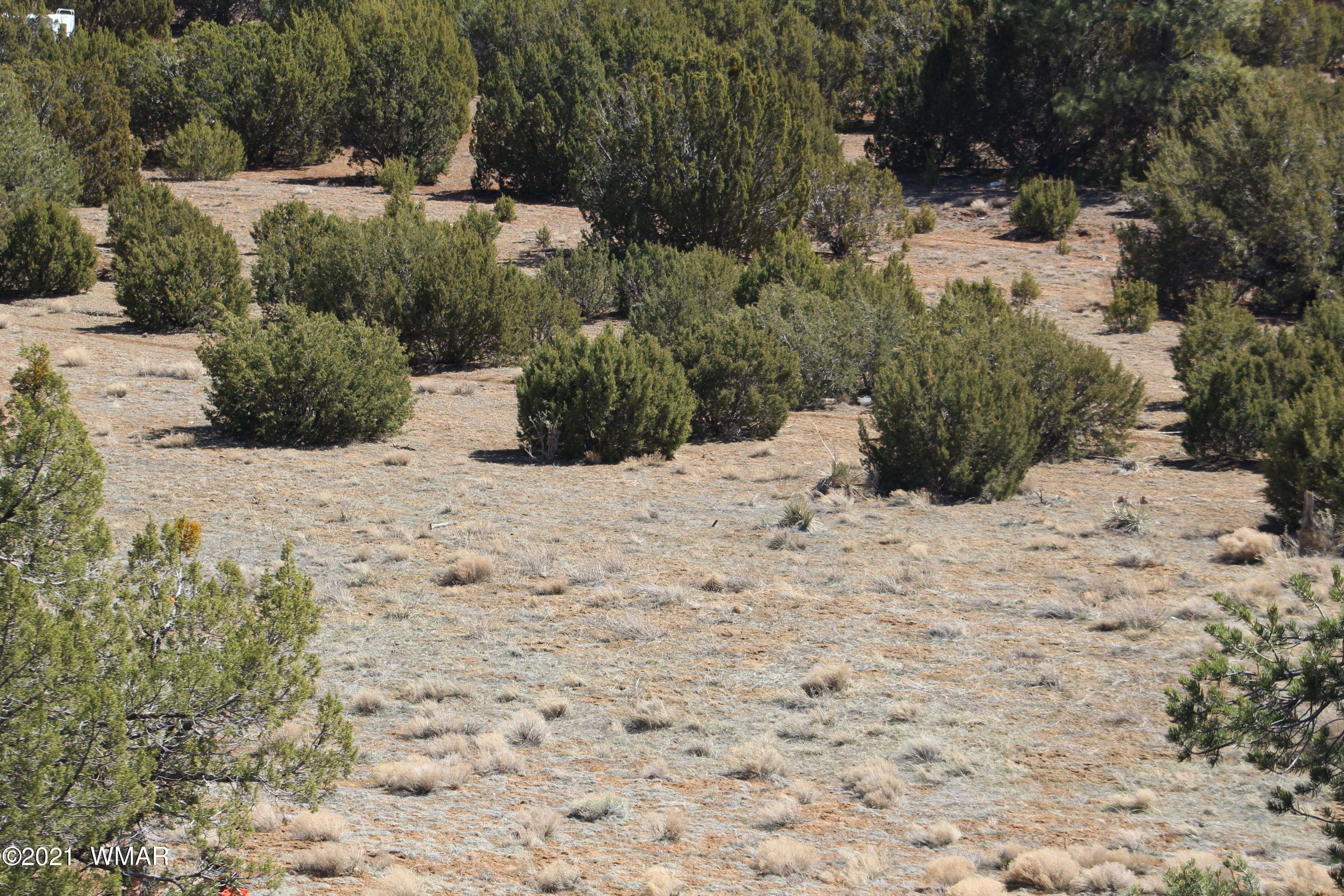 45 Co Road Concho, AZ 85924 - Photo 59 of 65