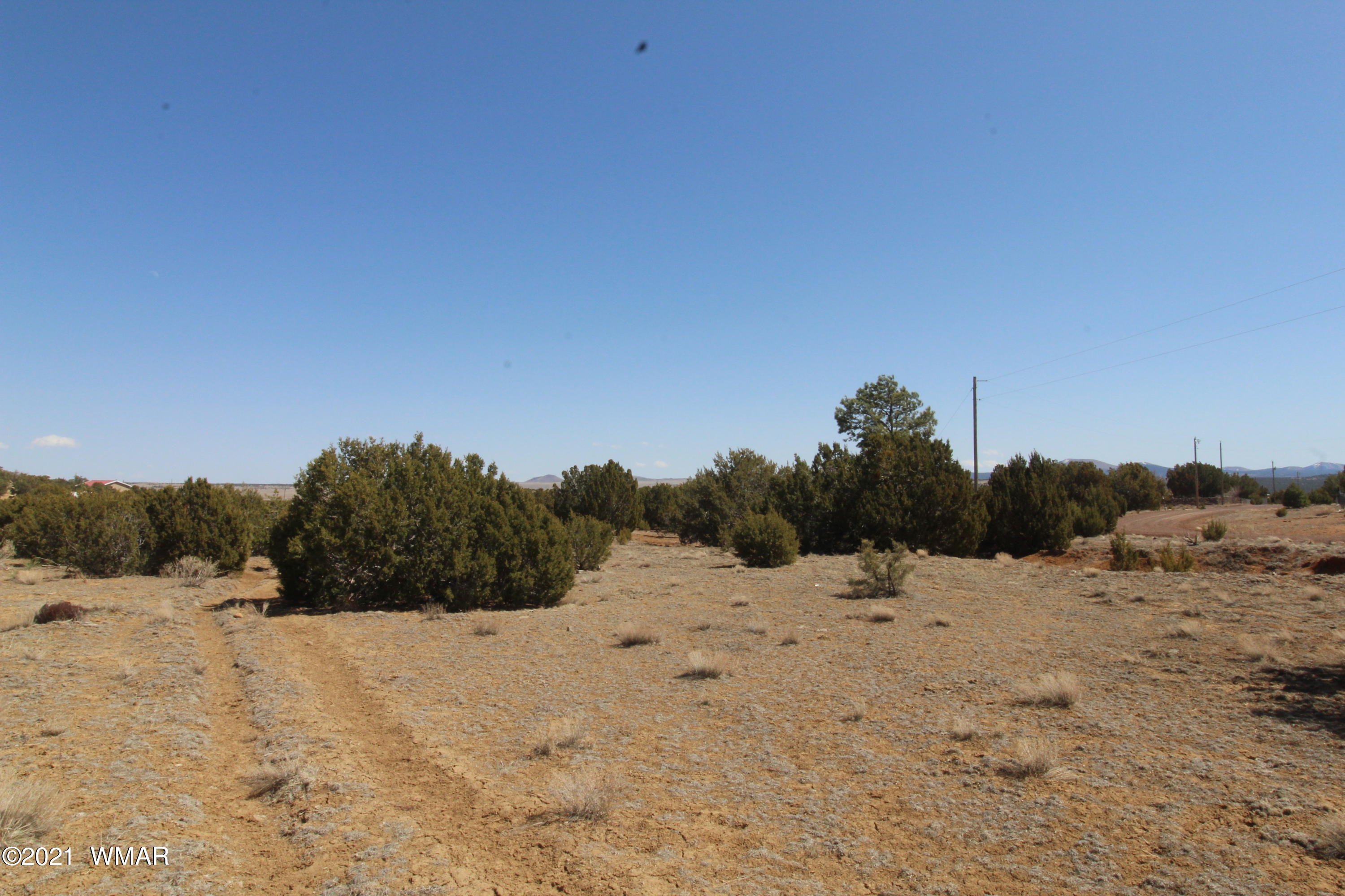 45 Co Road Concho, AZ 85924 - Photo 6 of 65