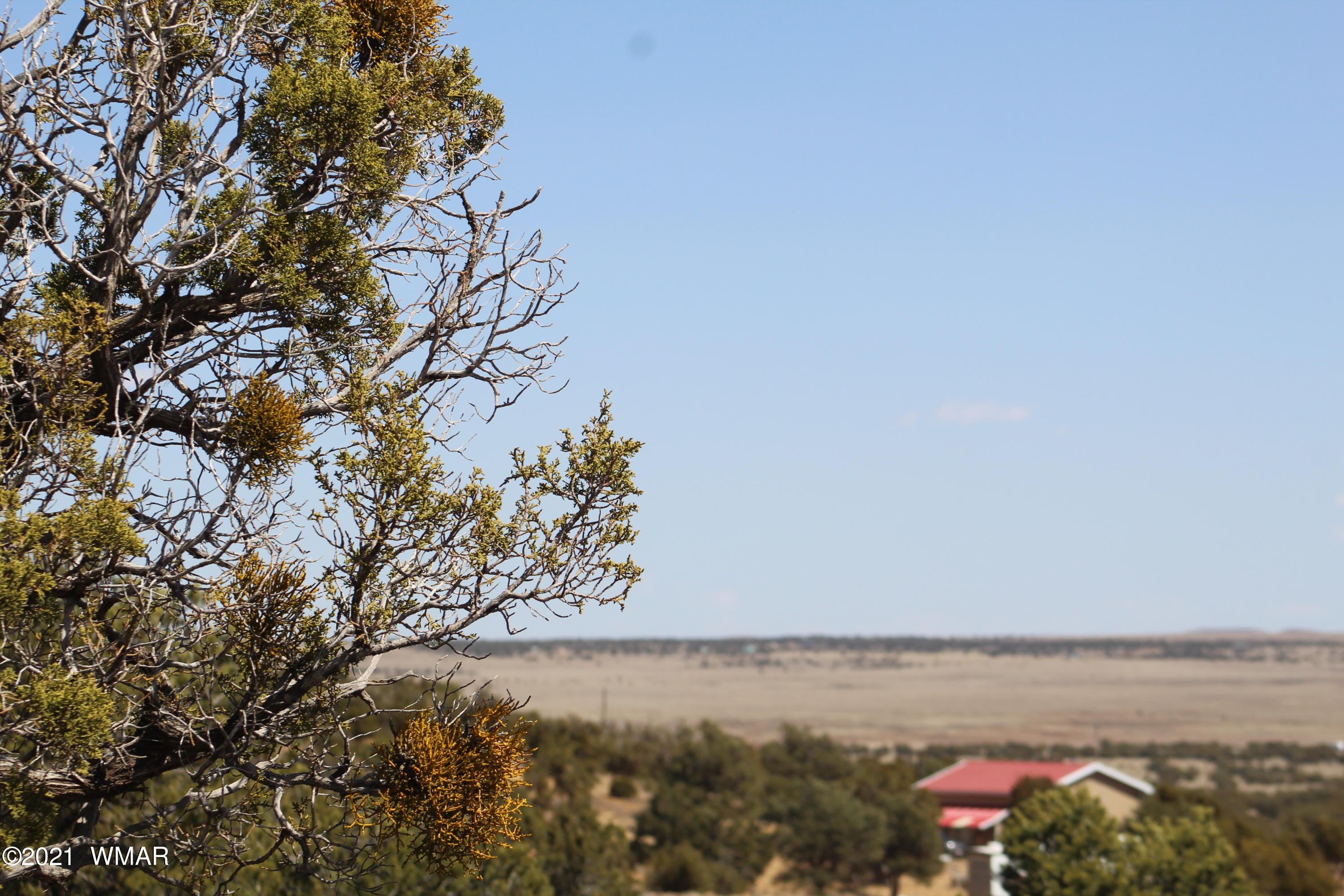 45 Co Road Concho, AZ 85924 - Photo 62 of 65