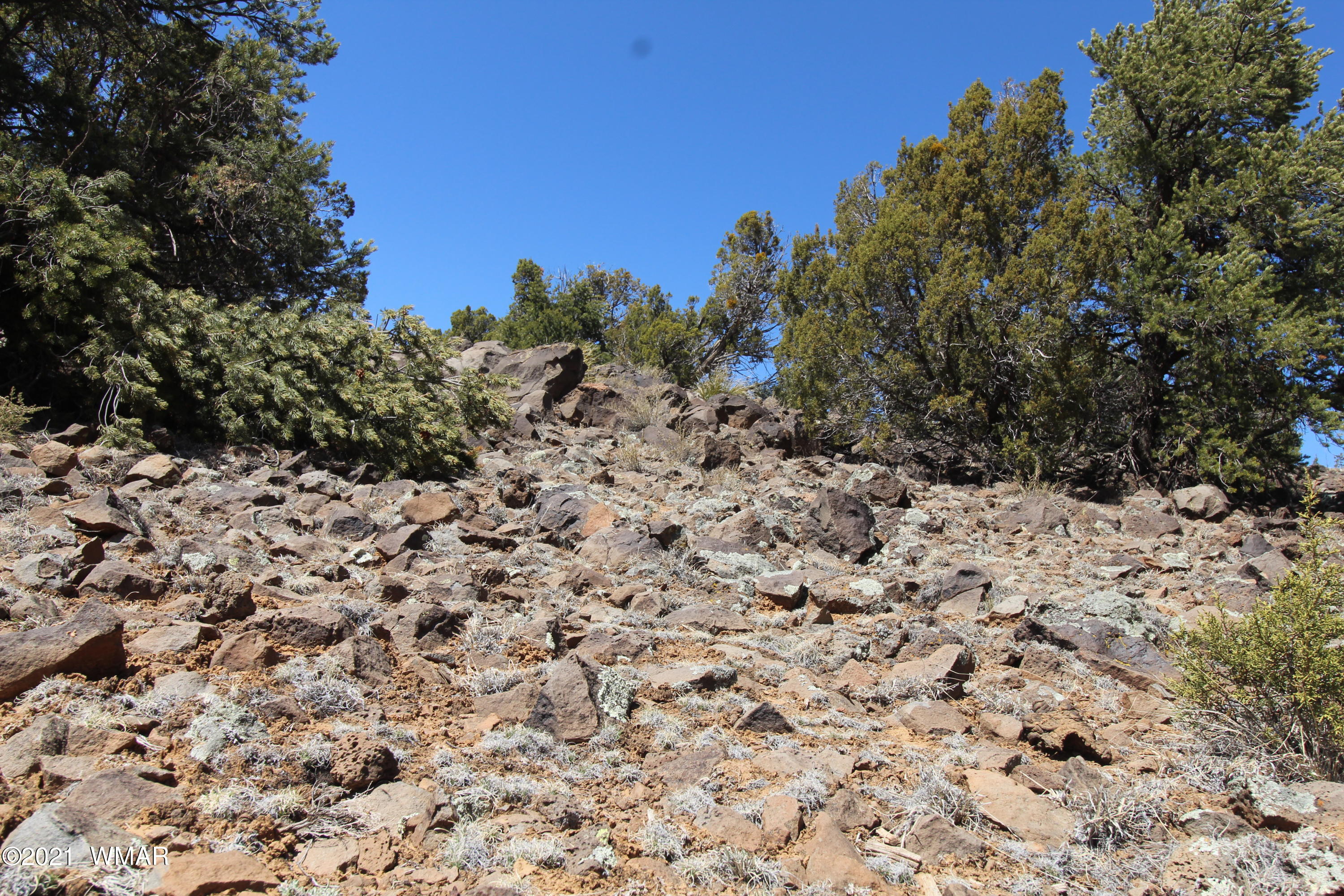 45 Co Road Concho, AZ 85924 - Photo 65 of 65