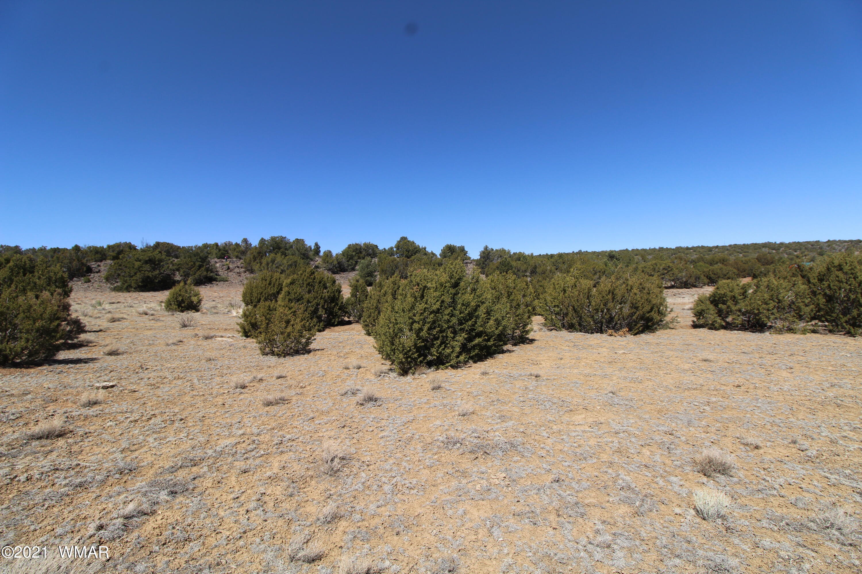 45 Co Road Concho, AZ 85924 - Photo 9 of 65
