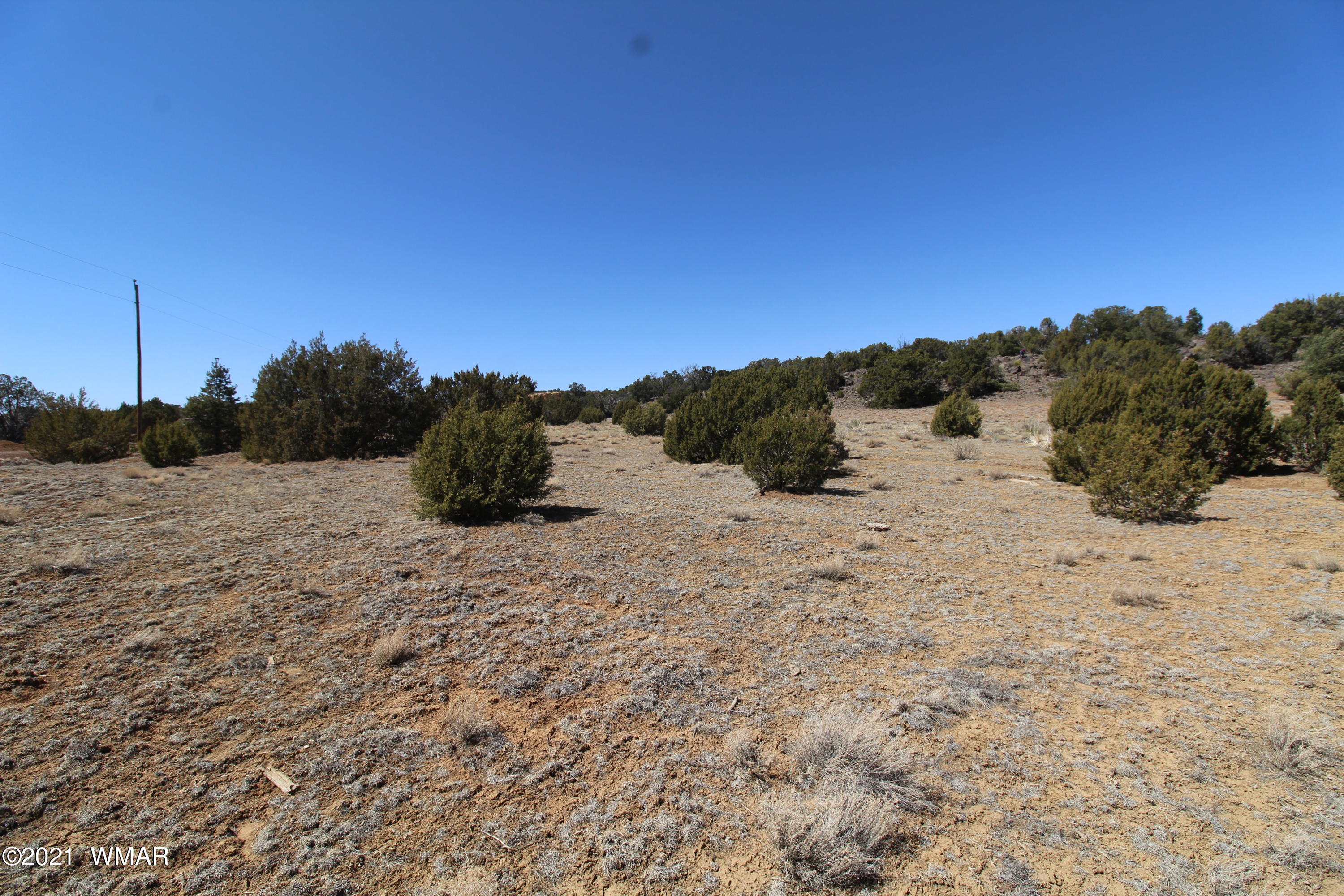 45 Co Road Concho, AZ 85924 - Photo 10 of 65
