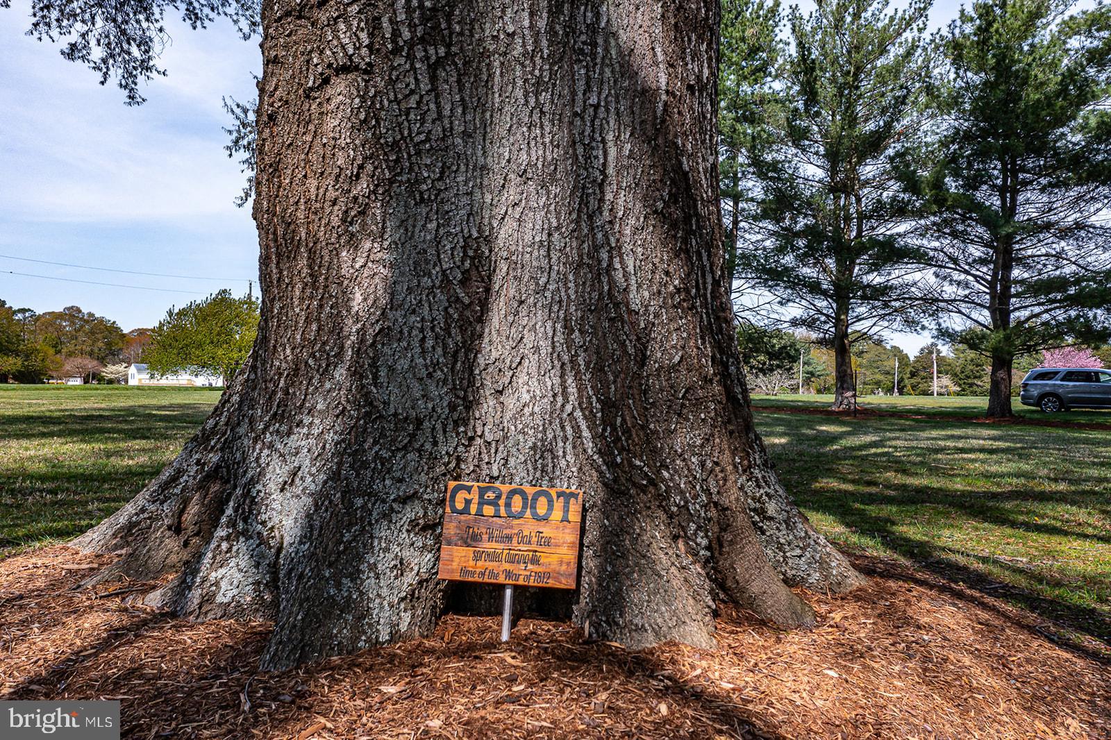 150 East Harbor Drive Reedville, VA 22539 - Photo 6 of 93