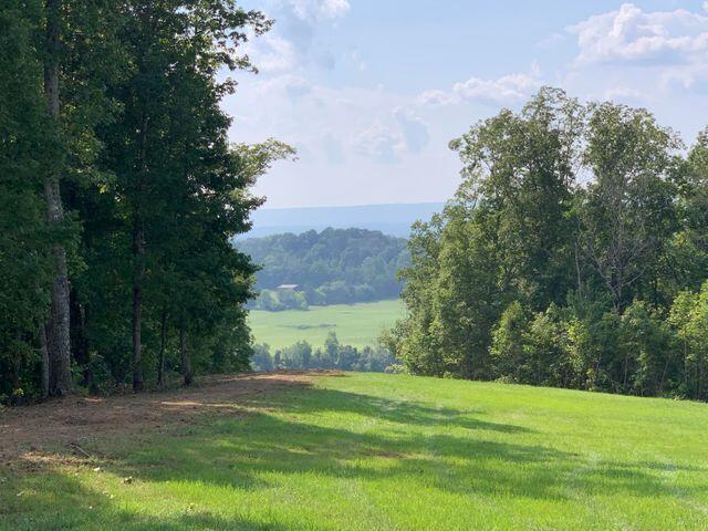 25 Espalier Drive Decatur, TN 37322 - Photo 1 of 17 20210902184627824245000000-o