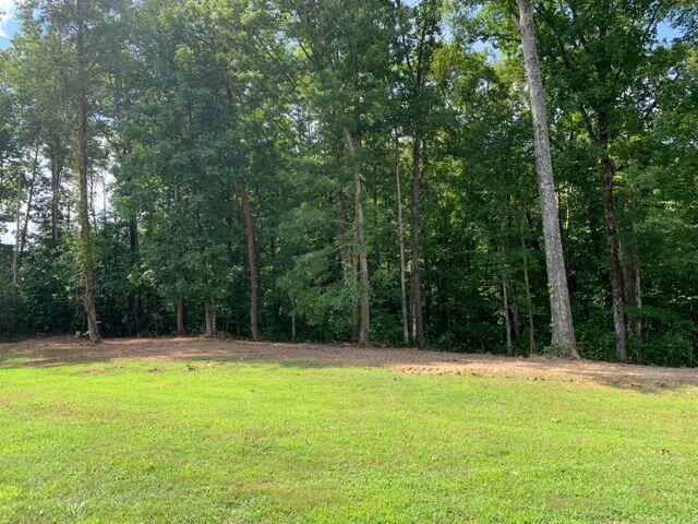 25 Espalier Drive Decatur, TN 37322 - Photo 2 of 17 20210902184712604924000000-o