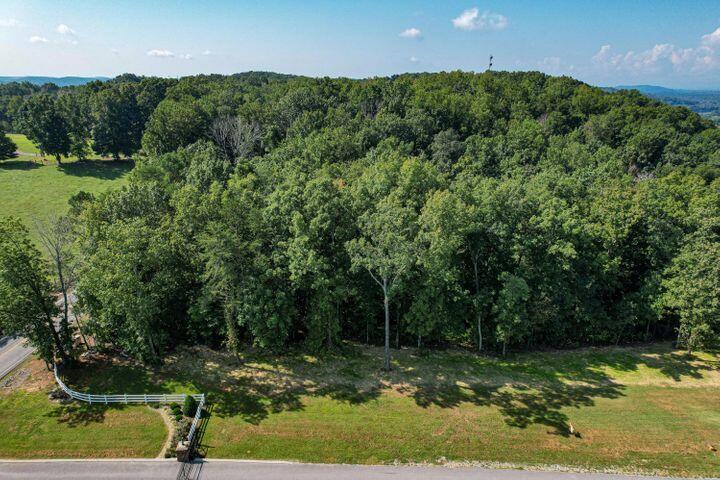 25 Espalier Drive Decatur, TN 37322 - Photo 3 of 17 20210917163231368080000000-o