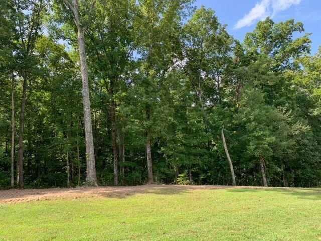 25 Espalier Drive Decatur, TN 37322 - Photo 6 of 17 20210902184722725610000000-o
