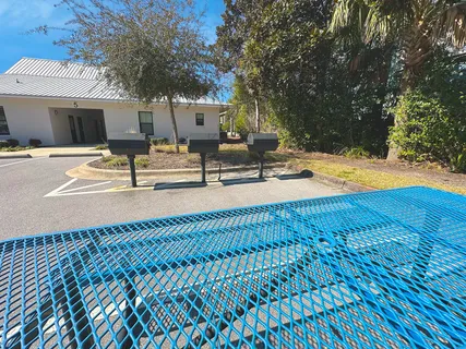 a view of a yard with a trees
