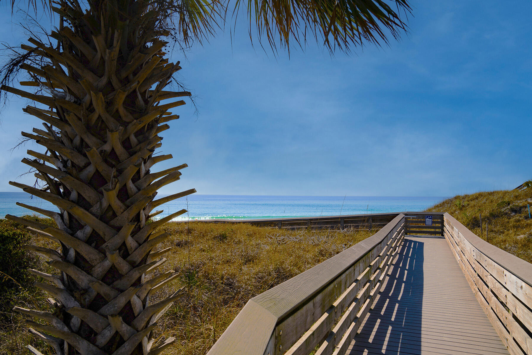3986 West Hidden Lake Way, Unit 231 Santa Rosa Beach, FL 32459 - Photo 53 of 66 a view of balcony with floor to ceiling window and palm tree