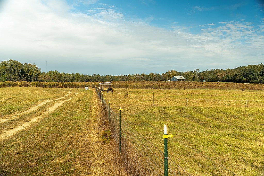 0 J B J B Jackson Road Webb, AL 36376 - Photo 14 of 38