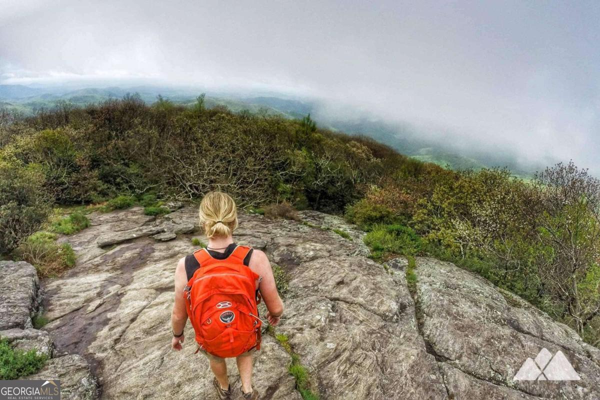 773 Fairview Road Jasper, GA 30143 - Photo 73 of 73